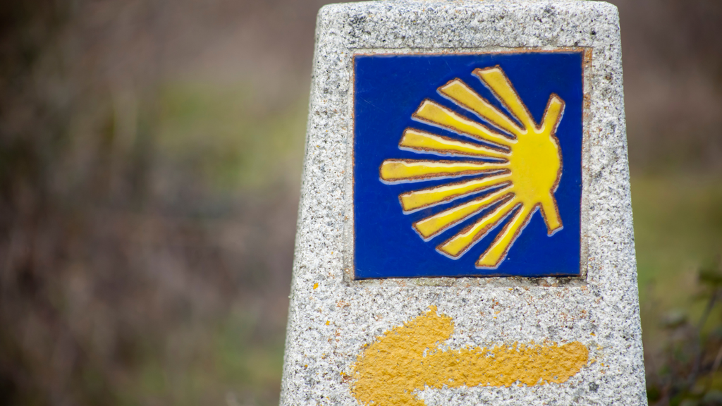 Camino de Santiago for Women: Why This Journey Is Life-Changing (Week 1 of 4)