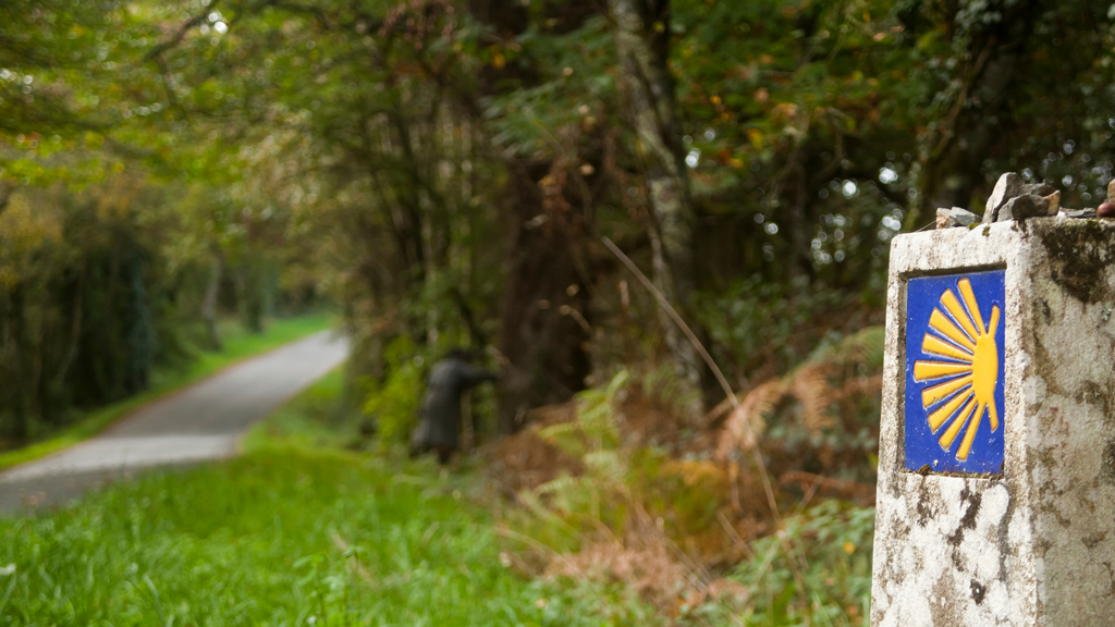 Essential Tips for Women on the Camino (Week 4 of 4) - Ziphers