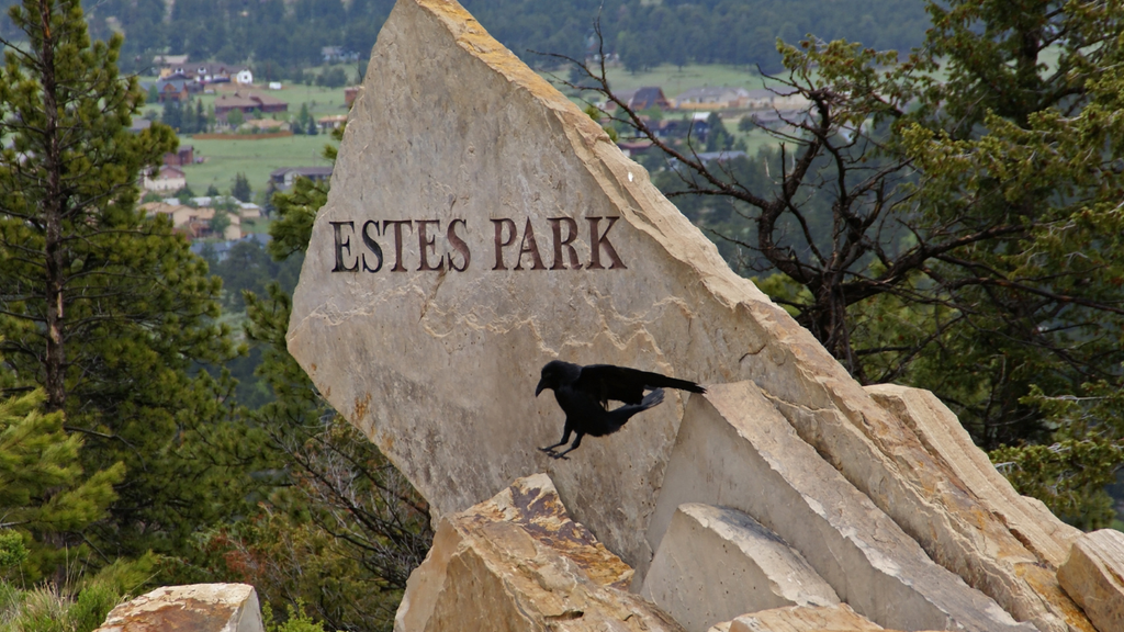 Exploring Estes Park: Trails, Views & the Pants Built for It All - ziphers
