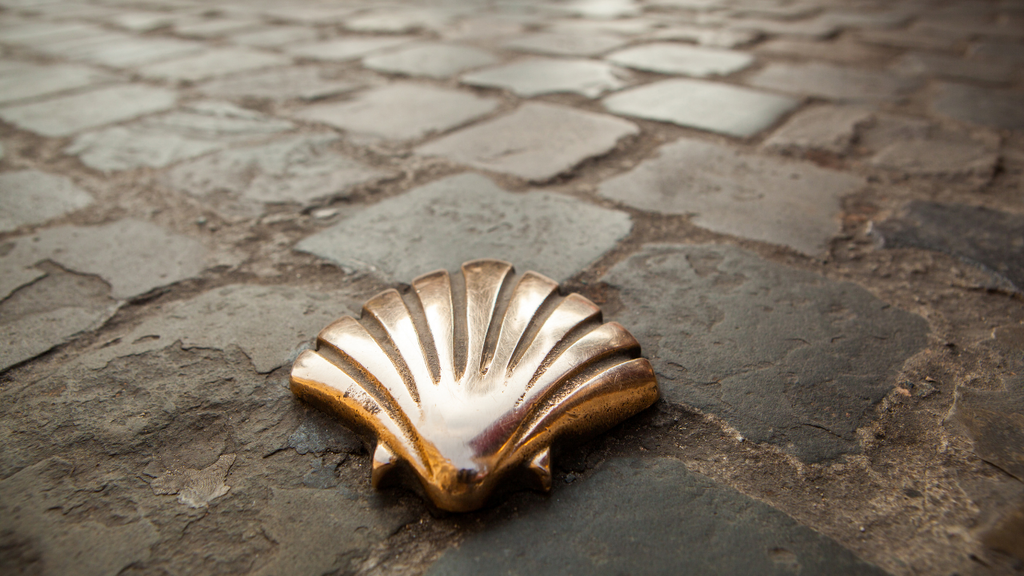 Where to Stay Along the Camino: From Albergues to Boutique Inns (Week 2 of 4)
