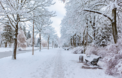 Free Outdoor Activities to Enjoy During the Winter Months