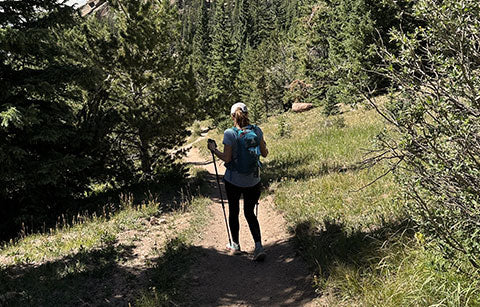 ZIPHERS: NAVIGATING WITH NATURE: FINDING YOUR DIRECTION WHILE HIKING